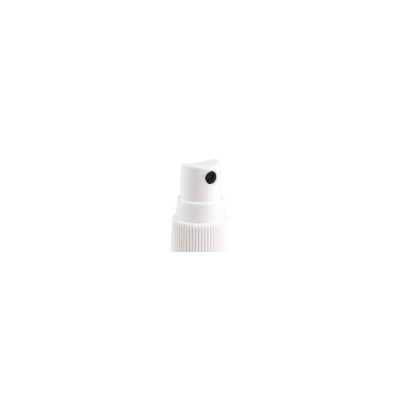 Metaliczny spray Shake & Gilt, srebro, 25 ml