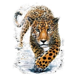 prasowanka Jaguar,