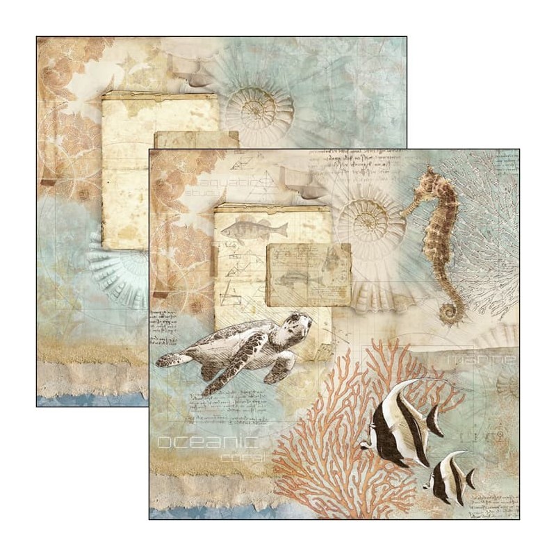 Sign of the Times zestaw 12 kartek rozm. 20,3 cm x 20,3 cm